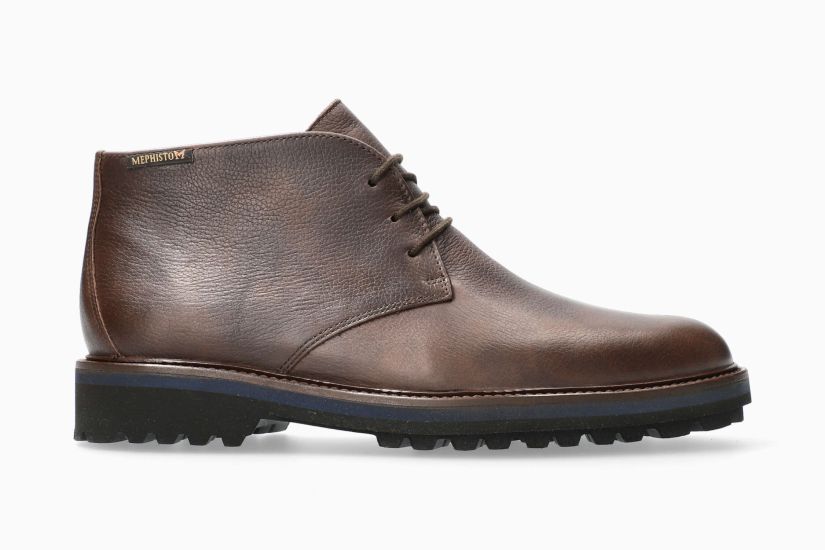Mephisto darwin 2025