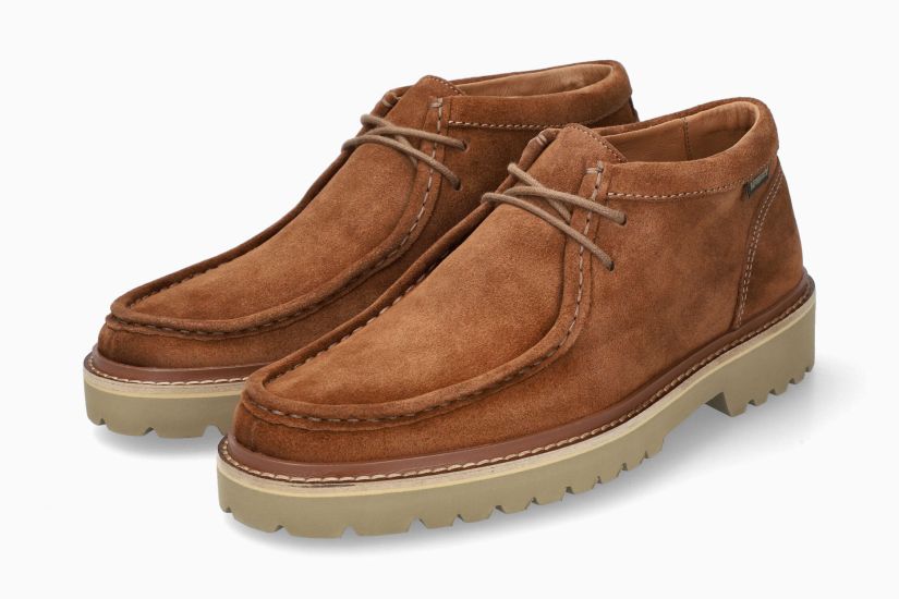 Molières Alexander Camel 