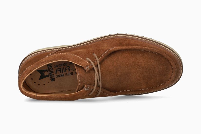 Molières Alexander Camel