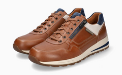 Baskets Bradley Camel