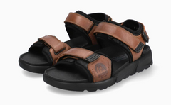 Shark Fit Sandalen Bruin