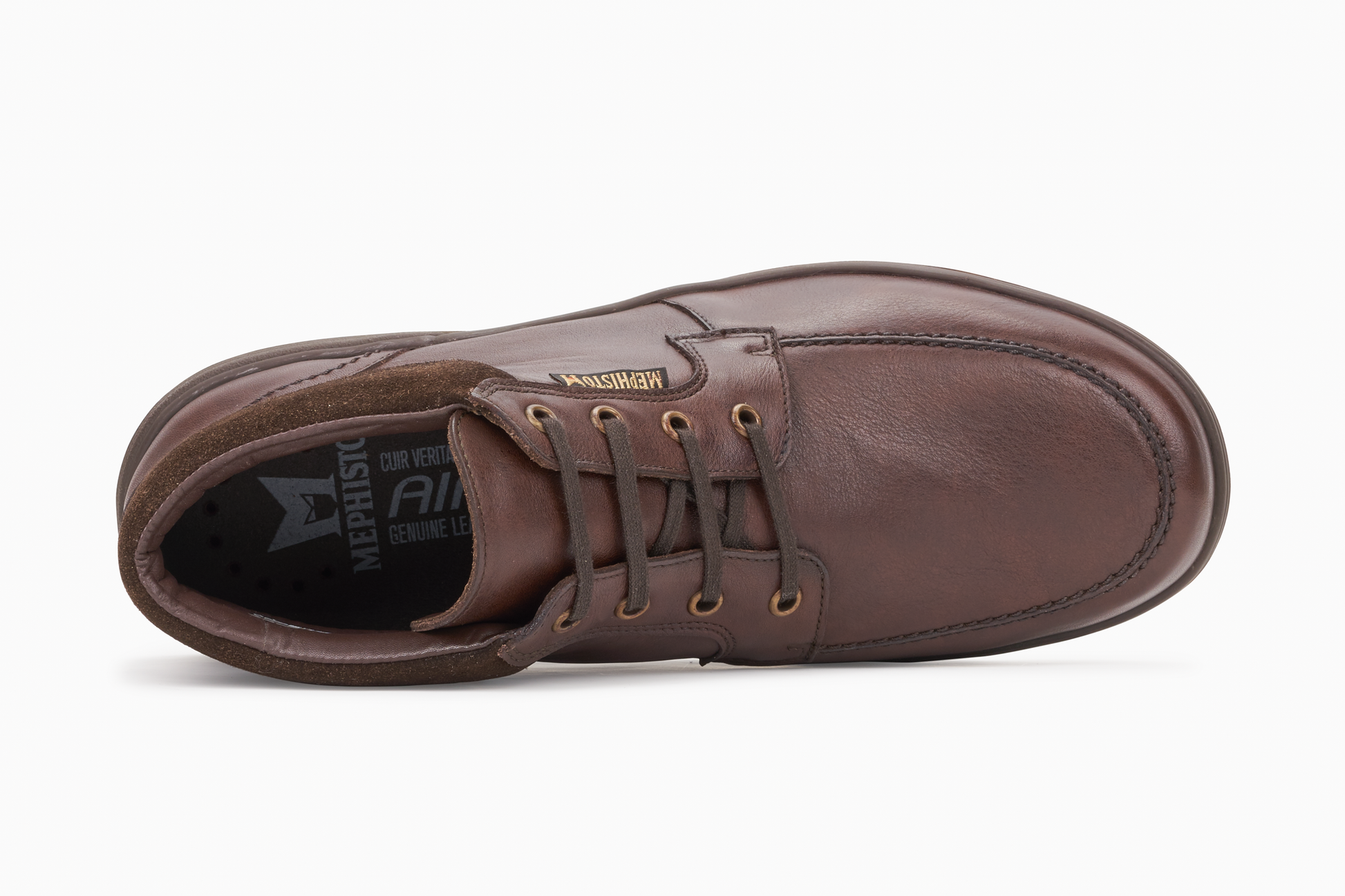 Mephisto darwin 2025