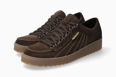 Molieres Regenbogenbraun 