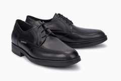 Molières Saverio Schwarz 